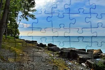 Toy jigsaw puzzle