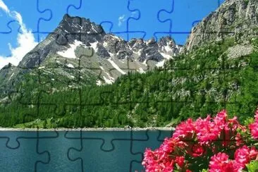 ImÃ¡genes jigsaw puzzle