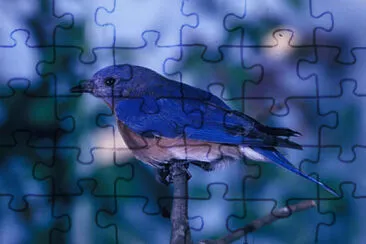 Toy jigsaw puzzle