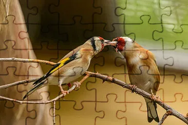 Toy jigsaw puzzle