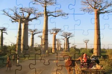 FaraÃ³n jigsaw puzzle