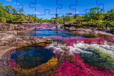 Caño cristales jigsaw puzzle