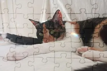 Sophie jigsaw puzzle