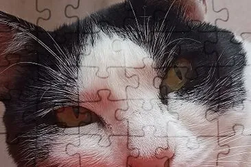 Emilialuisa jigsaw puzzle