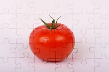 MATO MATO TOMATO jigsaw puzzle