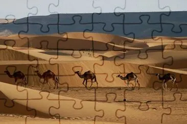 FaraÃ³n jigsaw puzzle