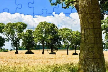 Nature jigsaw puzzle