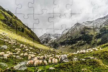 Nature jigsaw puzzle