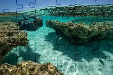 Nature jigsaw puzzle