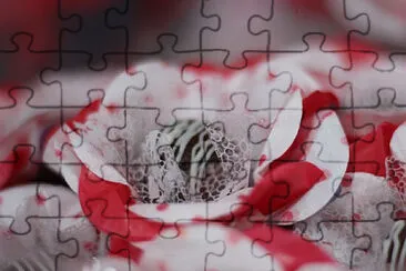 a jigsaw puzzle