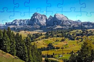  jigsaw puzzle