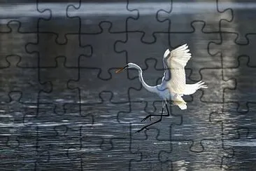  jigsaw puzzle