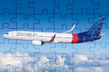  jigsaw puzzle