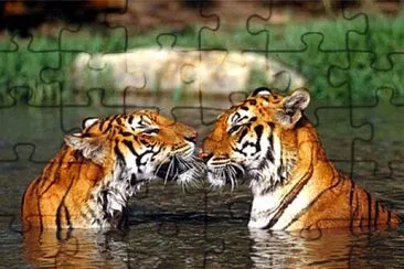 TIERE jigsaw puzzle