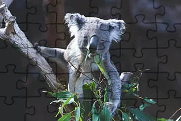 Toy jigsaw puzzle