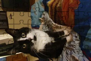 Charly August 2024 jigsaw puzzle