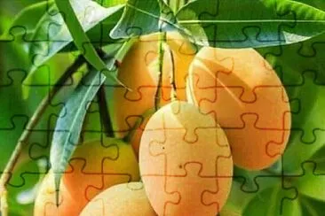 imagem jigsaw puzzle