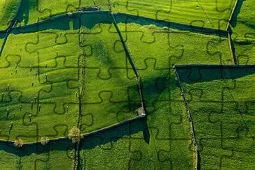 Farm jigsaw puzzle