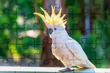 Toy jigsaw puzzle