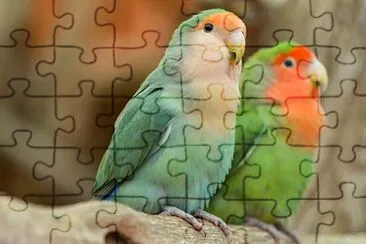 Toy jigsaw puzzle