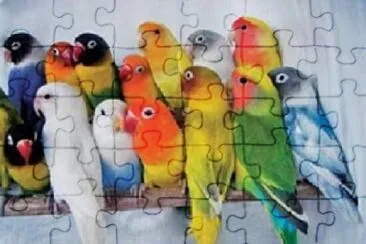 Toy jigsaw puzzle