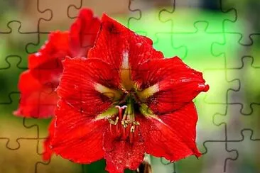 OK jigsaw puzzle