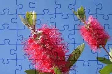 ImÃ¡genes jigsaw puzzle