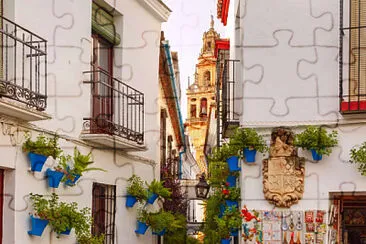 Flowerpot Lane in Cordoba jigsaw puzzle