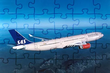  jigsaw puzzle