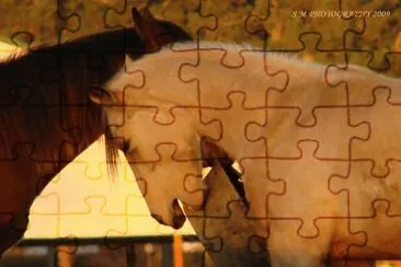 Time to eat jigsaw puzzle