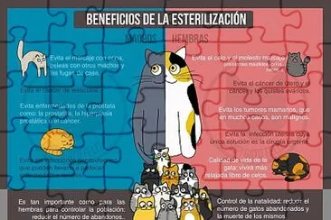 Beneficios de la estarilización