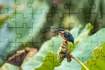 Toy jigsaw puzzle