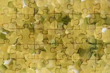 a jigsaw puzzle