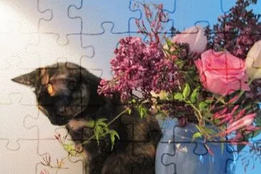 image jigsaw puzzle