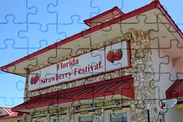 festival jigsaw puzzle