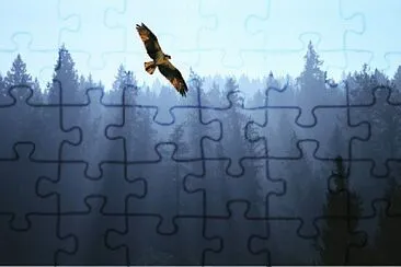 Aguila jigsaw puzzle