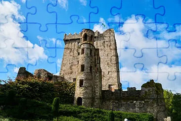 Toy jigsaw puzzle