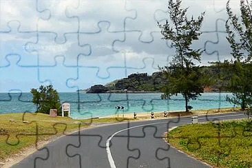 Toy jigsaw puzzle