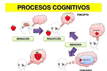 Paradigma cognitivo