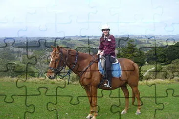 Sur Leap Of Feath en Nouvelle-Zélande jigsaw puzzle