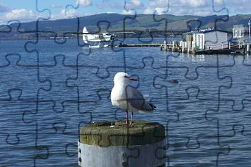 Lac de Rotorua Nouvelle-Zélande