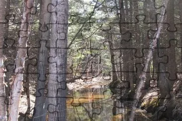 פאזל של Spring at the brook