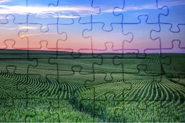 Siembra jigsaw puzzle