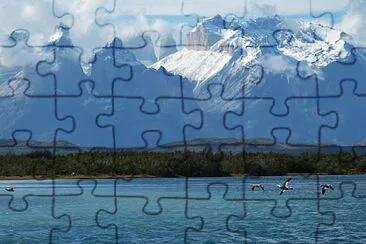  jigsaw puzzle