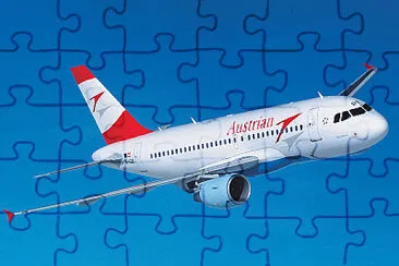  jigsaw puzzle