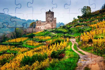  jigsaw puzzle