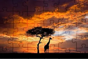 Africa jigsaw puzzle