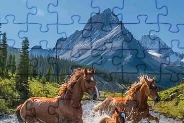 imagem jigsaw puzzle