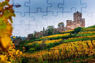  jigsaw puzzle