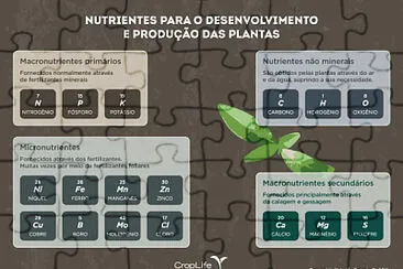 nUTRIENTES